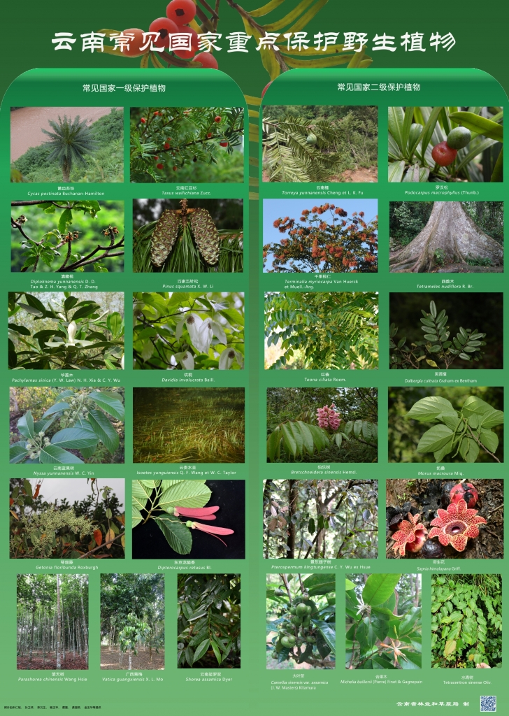 以案普法：风险国度沉点；ぶ参镒